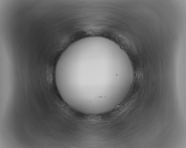 X0000111891012200908061329