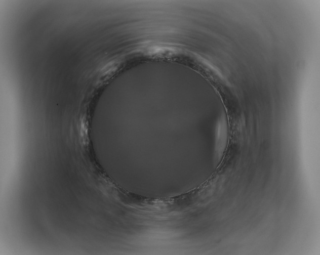 X0000111891013200908061329