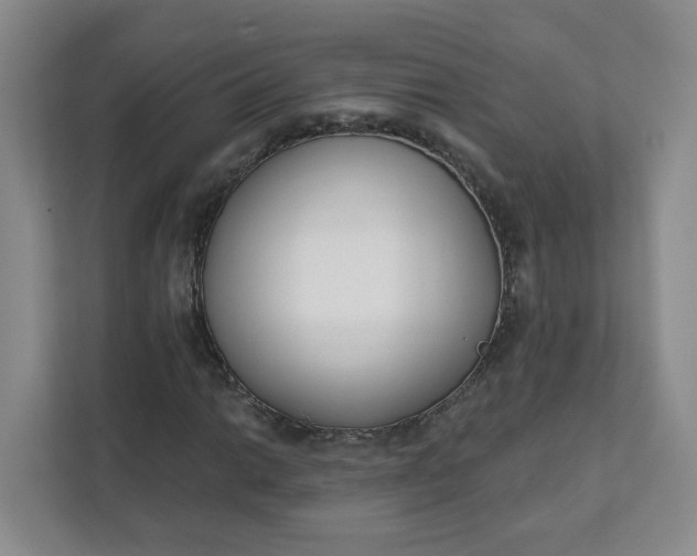 X0000111891014200908061329