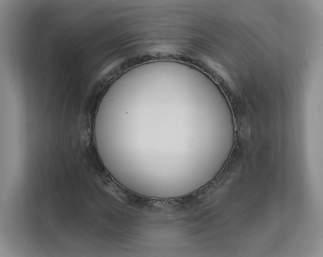 X0000111891015200908061329