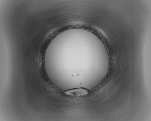 X0000111891016200908061329