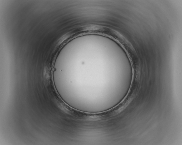 X0000111891017200908061329