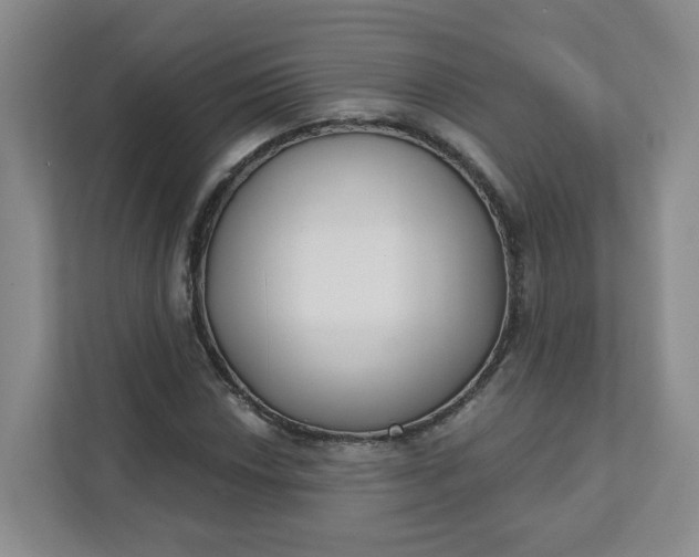 X0000111891018200908061329