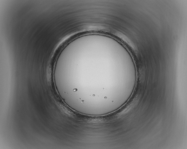 X0000111891021200908061330