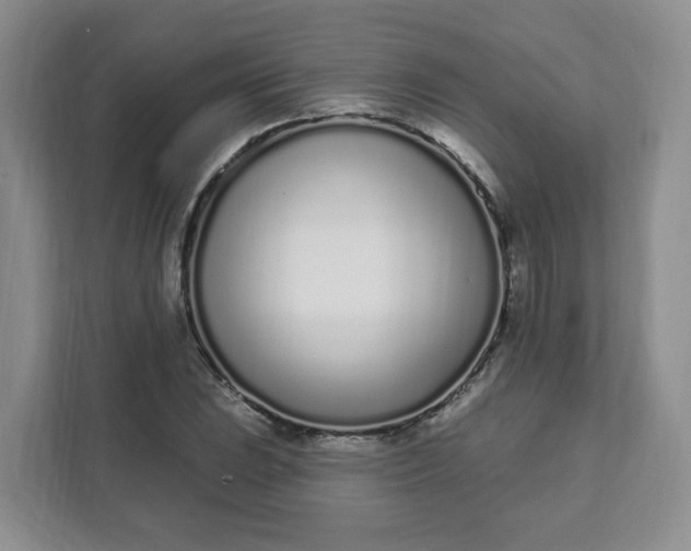 X0000111891023200908061330