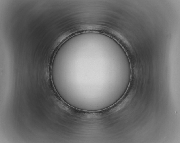 X0000111891025200908061330