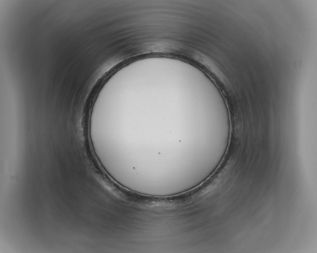 X0000111891026200908061330