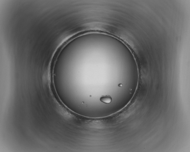 X0000111891028200908061330