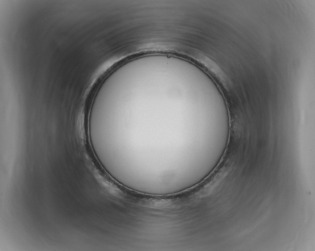 X0000111891030200908061330