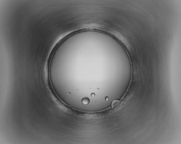 X0000111891032200908061330