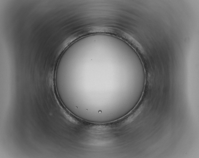 X0000111891033200908061330