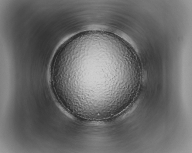 X0000111891037200908061330