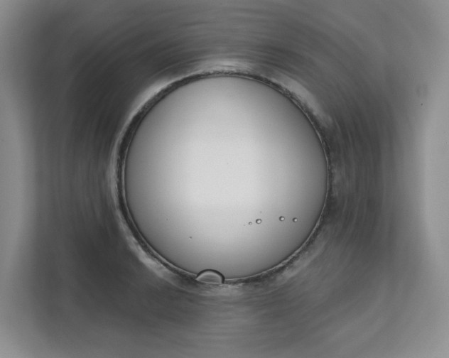 X0000111891038200908061330