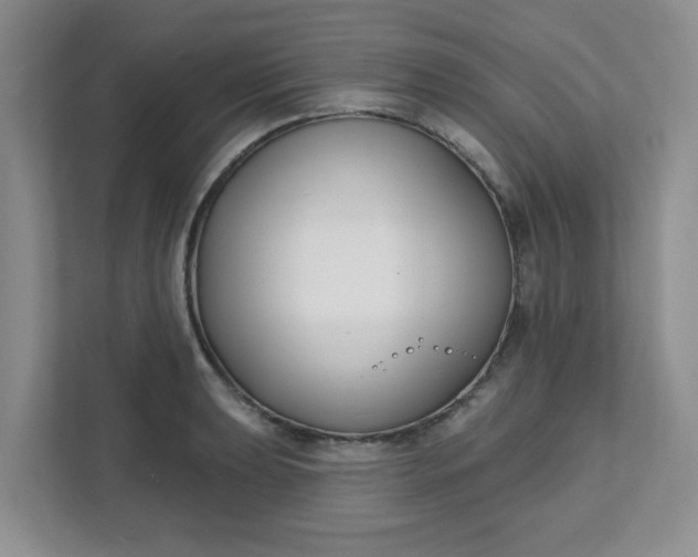 X0000111891039200908061330