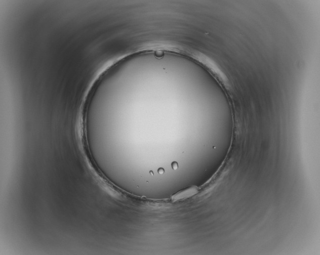 X0000111891040200908061330