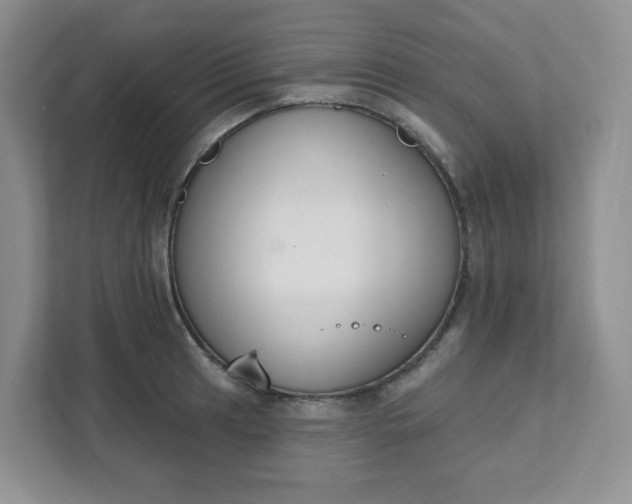 X0000111891041200908061330