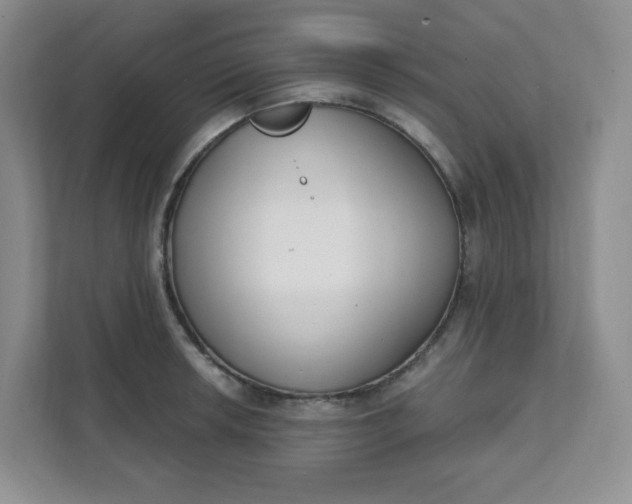 X0000111891042200908061330