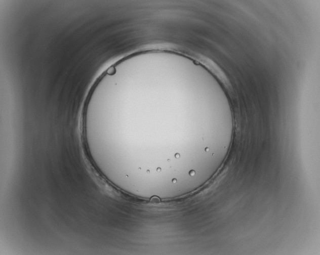 X0000111891044200908061330