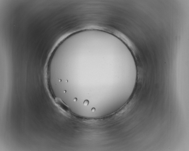 X0000111891048200908061330