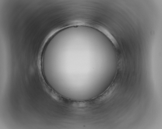 X0000111891051200908061330