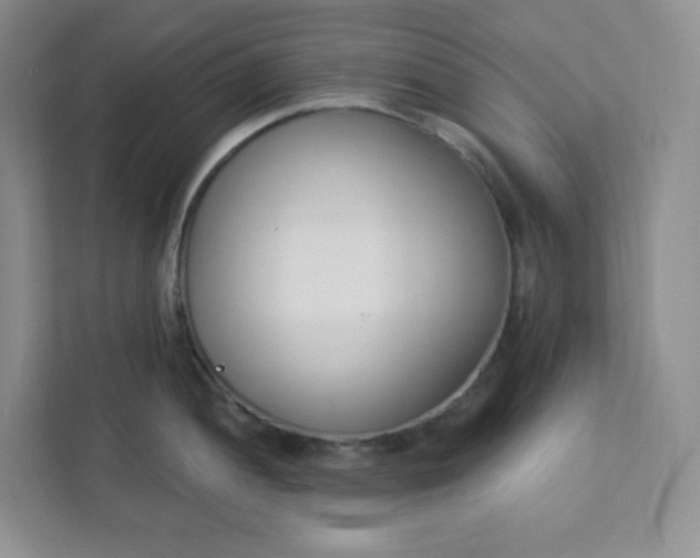 X0000111891052200908061330