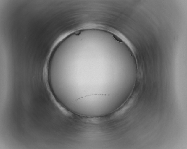 X0000111891053200908061330