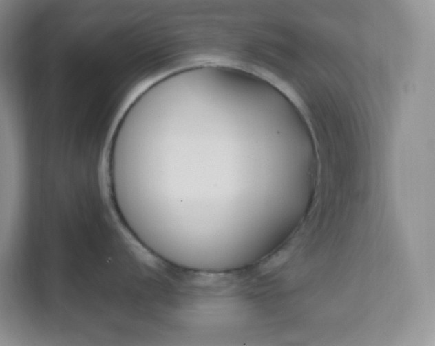 X0000111891056200908061330