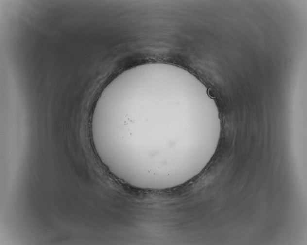 X0000111891057200908061329