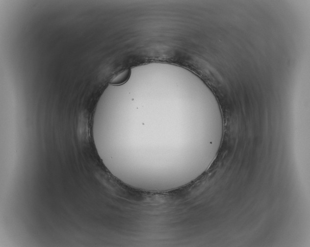 X0000111891058200908061329