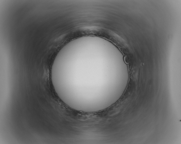 X0000111891061200908061329