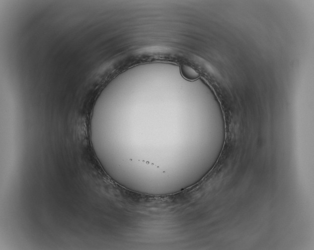 X0000111891062200908061329