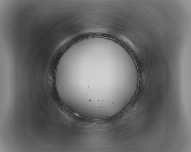 X0000111891064200908061329