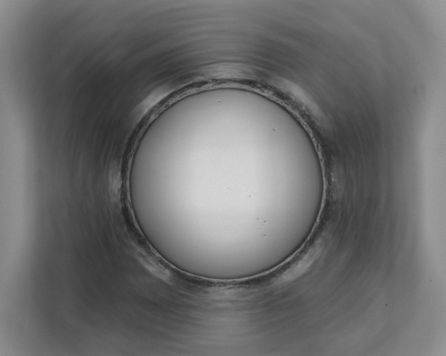 X0000111891065200908061329