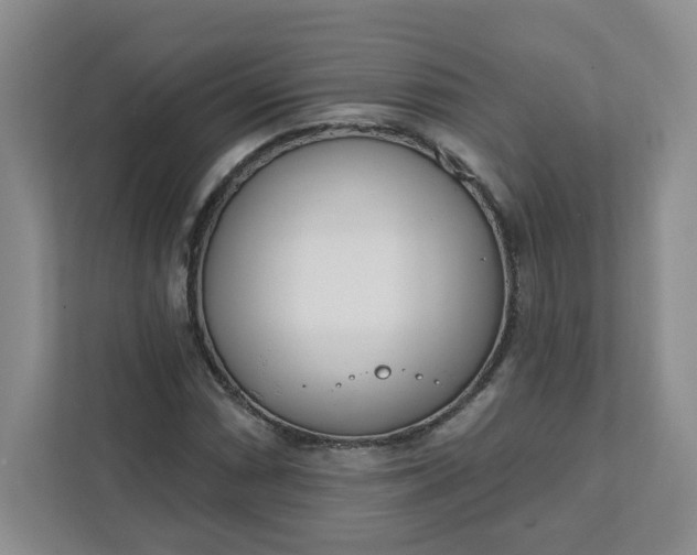 X0000111891066200908061329