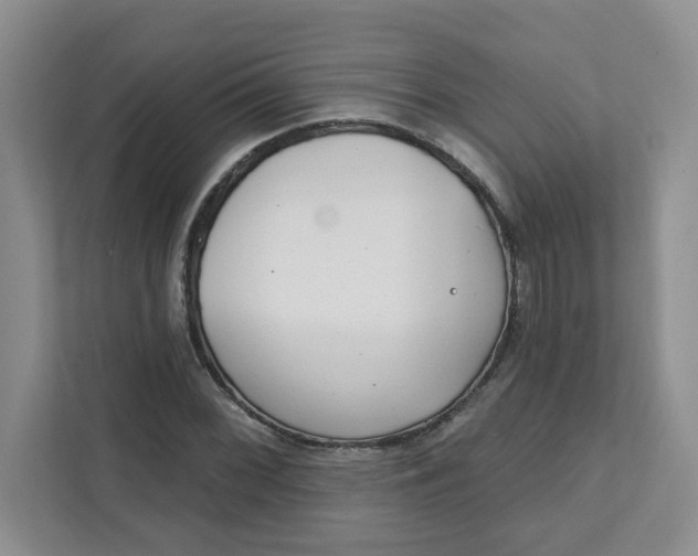 X0000111891068200908061329