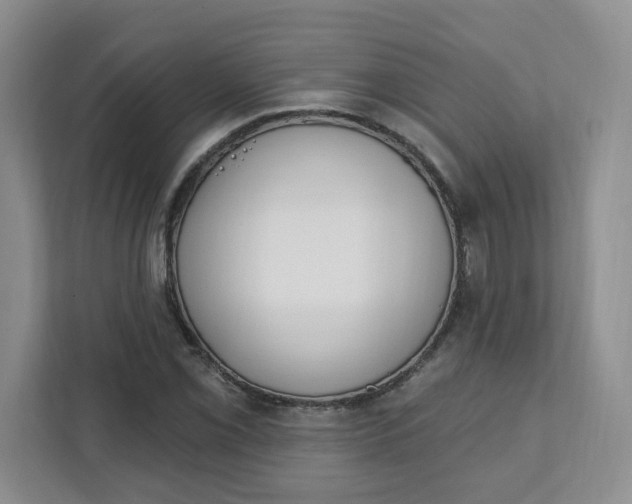 X0000111891069200908061329