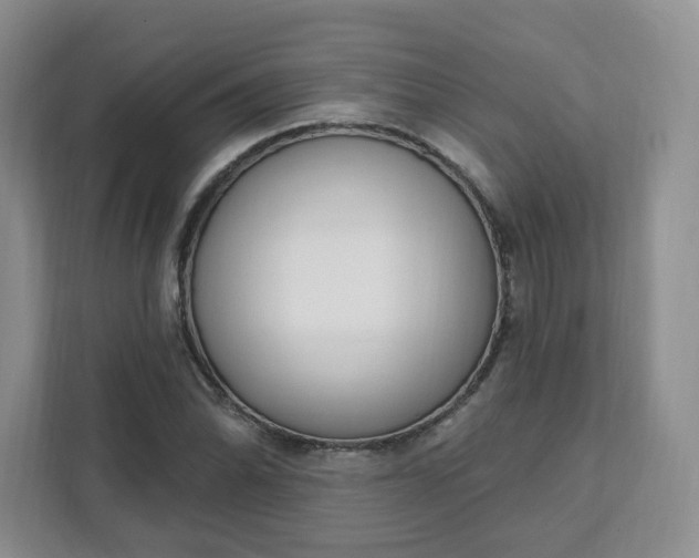 X0000111891070200908061329