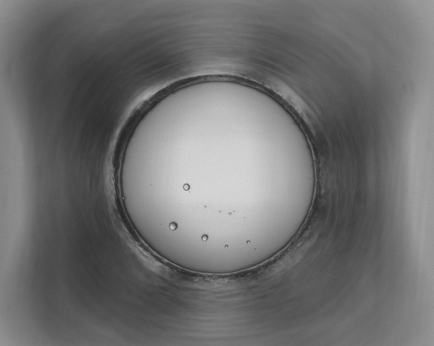 X0000111891072200908061329