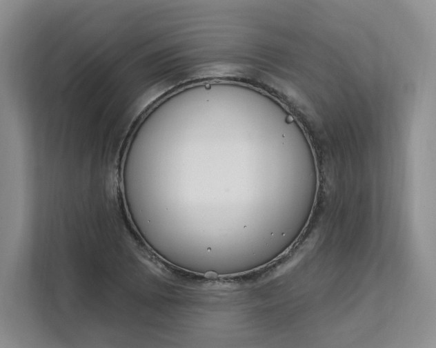 X0000111891073200908061329