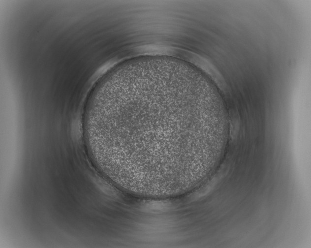 X0000111891074200908061329