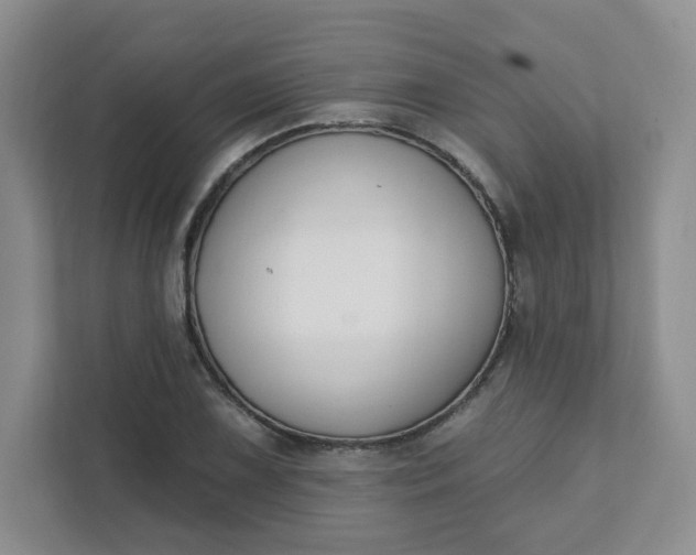 X0000111891075200908061329