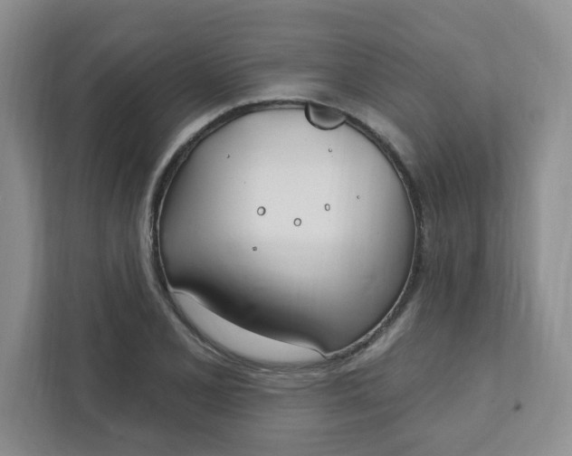 X0000111891077200908061329