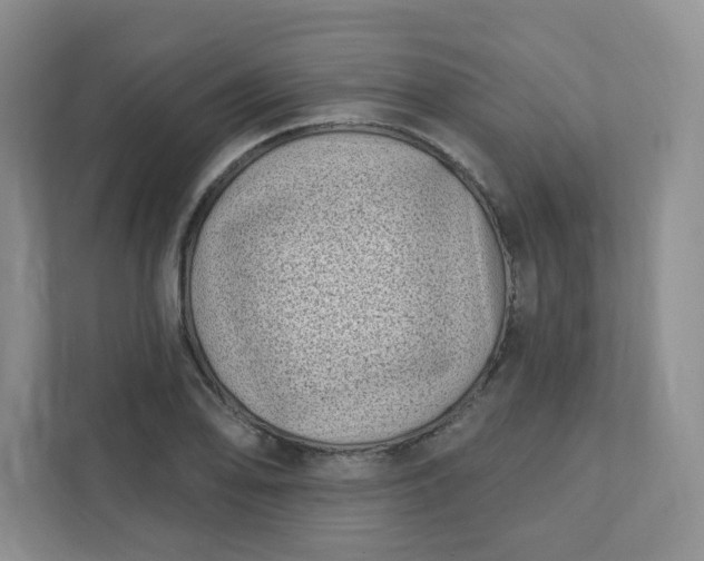 X0000111891078200908061329