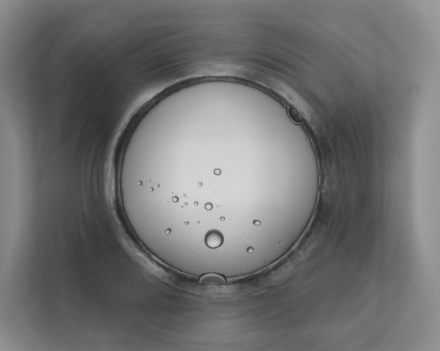 X0000111891080200908061329