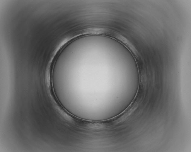 X0000111891083200908061329