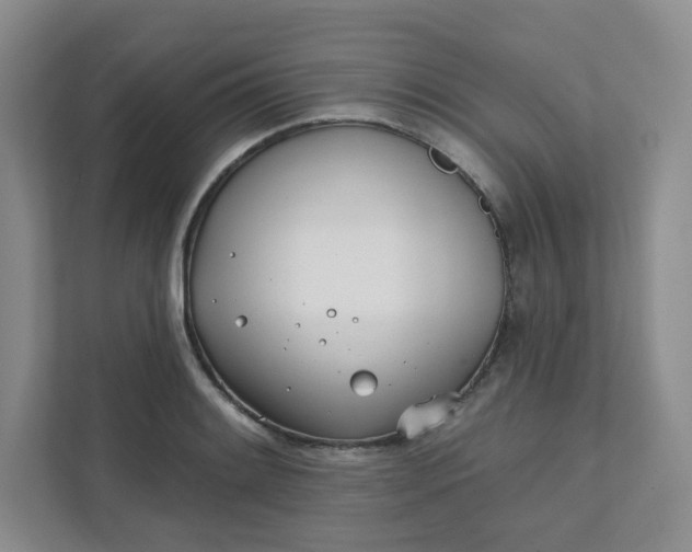 X0000111891084200908061329