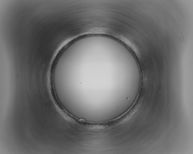 X0000111891085200908061329