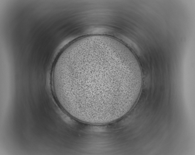 X0000111891086200908061329