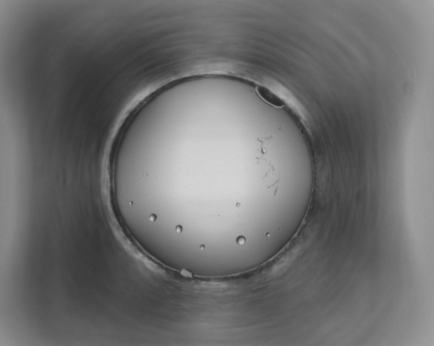 X0000111891088200908061329