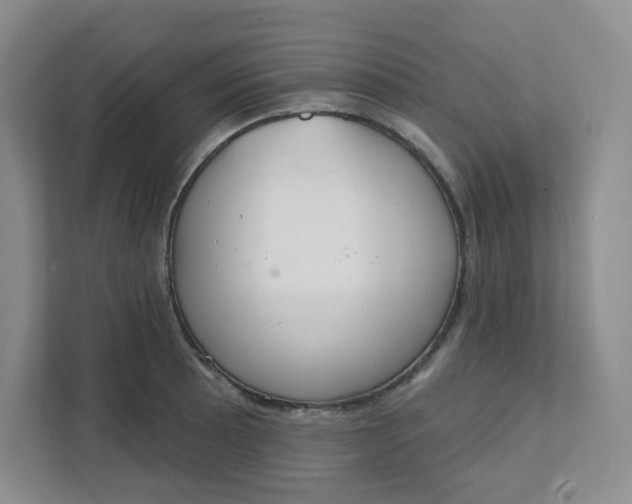 X0000111891089200908061329